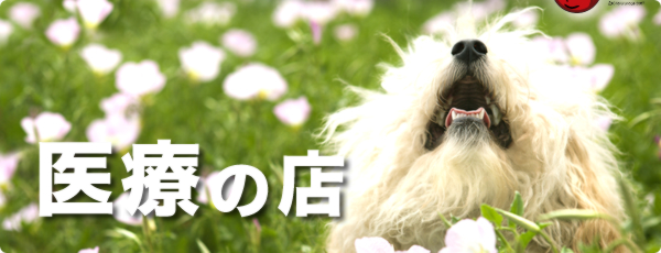 �a�@�@���������